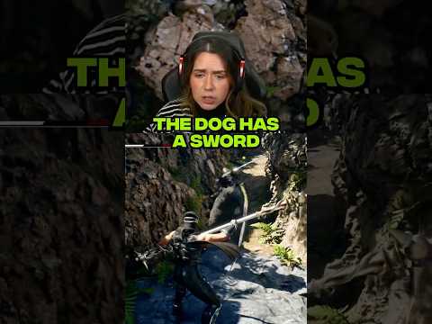 dogs with swords day one into game pass #ninjagaiden