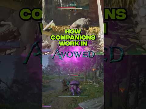 How Companions Work In Avowed