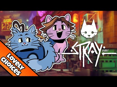 Emotionally Invested in a STRAY