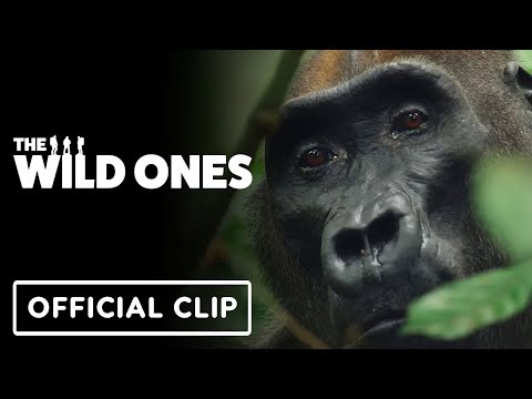 The Wild Ones – Exclusive “First Gorilla” Clip (2025)